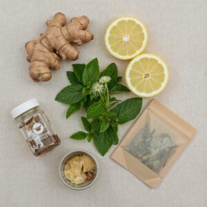 Top-down view of detox tea ingredients including ginger root, fresh mint, lemon slices, dried dandelion root, and green tea, arranged on a light linen surface.